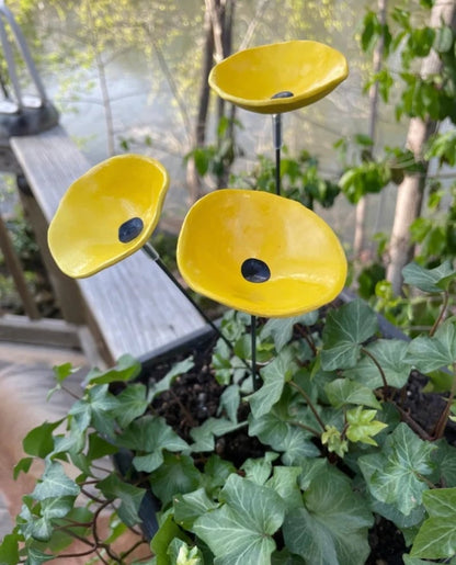 🎖️July 4th Flash Sale: 49% OFF Sitewide! 🐝Bee Watering Station,🦋Butterfly Puddler,Hummingbird Drinking Cups