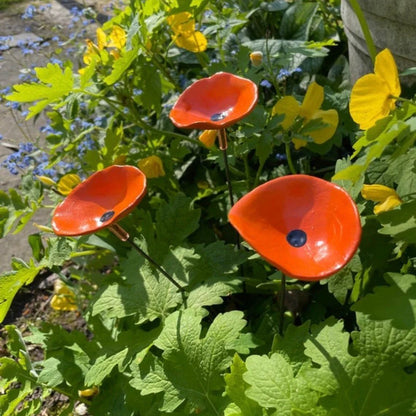 🎖️July 4th Flash Sale: 49% OFF Sitewide! 🐝Bee Watering Station,🦋Butterfly Puddler,Hummingbird Drinking Cups