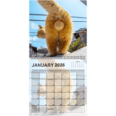 2026 Cat Ball Calendar