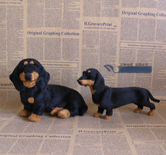 🐶The Dachys– Emotional Healing on Demand