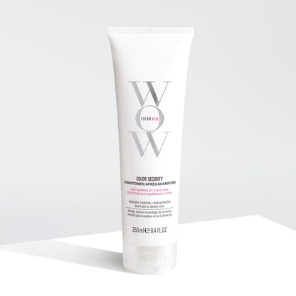 Color Security Conditioner ~ (For Normal to Thick Hair)