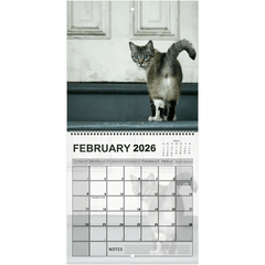 2026 Cat Ball Calendar