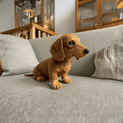 🐶The Dachys– Emotional Healing on Demand