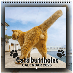 2026 Cat Ball Calendar