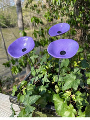🎖️July 4th Flash Sale: 49% OFF Sitewide! 🐝Bee Watering Station,🦋Butterfly Puddler,Hummingbird Drinking Cups