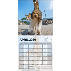 2026 Cat Ball Calendar